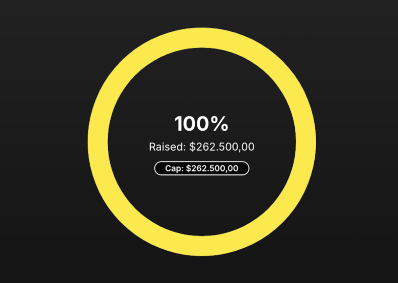 Cryptaine’s Seed Sale Sold Out!